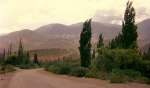 Magicos caminos del norte argentino