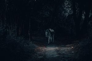 The Restoration of the Natural Soul