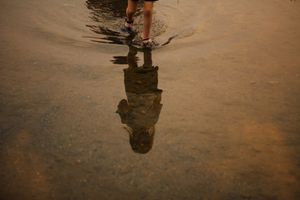 Wading I