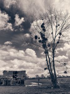farm ruin