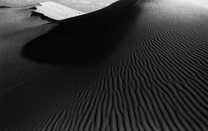 Dune #7