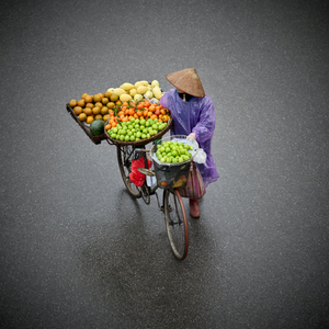 Fresh Bike