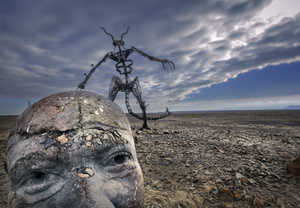 Afrikaburn Festival. South Africa.