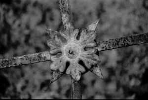 Dead Alentejo