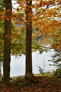 Quebec, Indian Summer