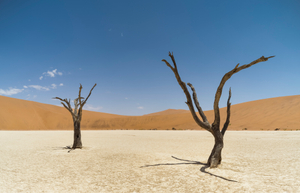 Dry day