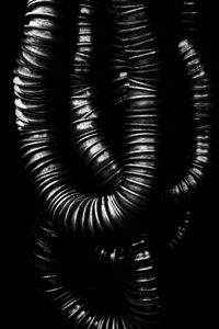 Dichotomy of Existence 01