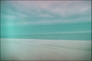 Winterton 5