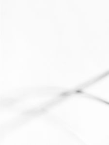 Lambda 21, detail 1