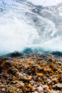 Splash_3
