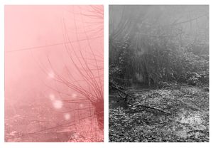 Dissociated #10