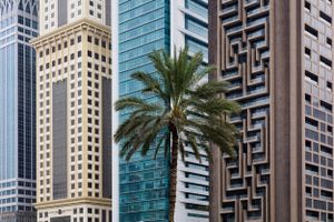 Palm in Dubai