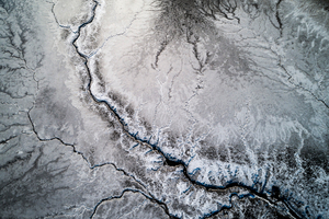 Lakeshore Operations | Ground Level Series #03