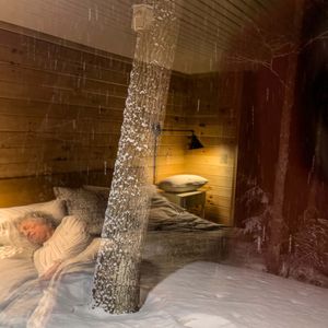 Winters Dream, 2023