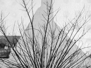Manipulated by Time
