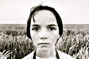 Girl/Cornfield