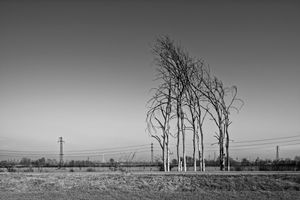 Milan Borderland #2