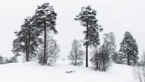 WHEN THE SUN GOES DOWN