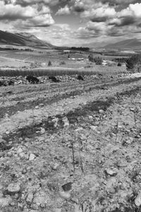 Tulbagh, Western Cape