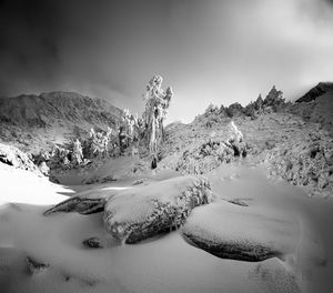 High Mountain Scenes-3