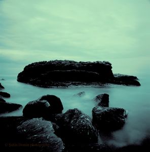 © Sahin Domin