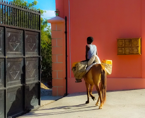 Bringing water