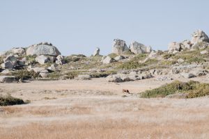 Naxos, Greece, 2018
