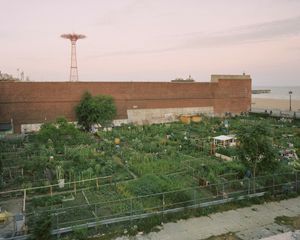 Boardwalk Community Garden, Coney Island, Brooklyn