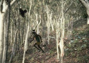 The Bushman and his Black Bird