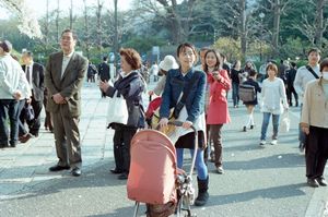 To Hanami