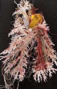 Amalgamated Fragmentations / Plastiverse 10