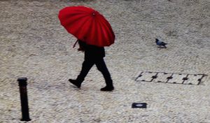 Tiny Woman/Large Umbrella