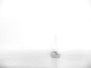Fogged In