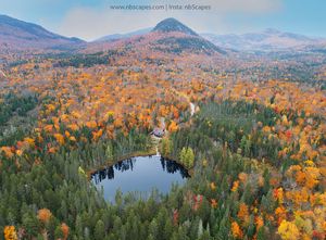 Fall House