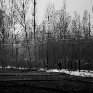 Suspended Moments - Stillness I