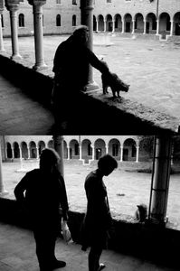 Venice 2006