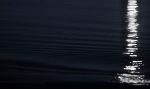 © 2014 Nicholas Adam Wojtas. All Rights Reserved