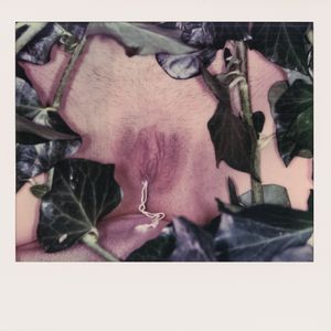 Vulva 2