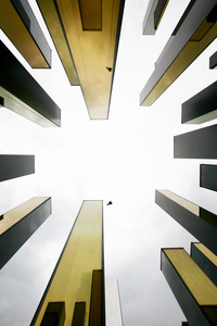 Your eyes will be glued to the bird  freely hovering in the sky, so distant from the world of man-made crystals.