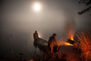 Moonlight