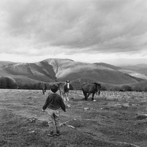 Untitled. Chateau Pignon.