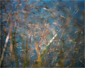 In a Landscape #10