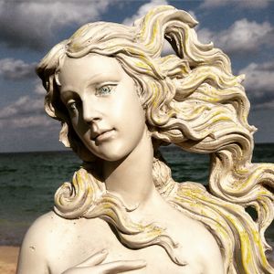 THE VENUS PROJECT