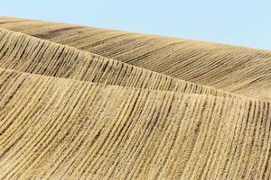 Palouse, WA. Study #54                        (46 53.8532N - 117 11.1758W)