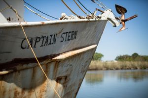 Captain, from the project, Bayou © 2013 Paul Elledge