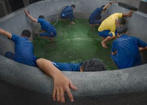 All Hands on “ Deck” or Ring of Cleaners