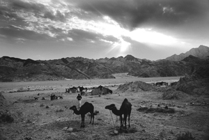 "Winter Sky In Sinai"