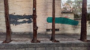 Protesting trees