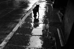 Buenos Aires, 2012