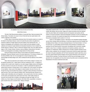 Adrian-Silvan Ionescu, An installation that connects East with the West
